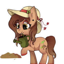 Size: 4000x4000 | Tagged: safe, artist:toxic-flowers, oc, oc only, oc:juniper greenhoof, pony, hat, mouth hold, simple background, solo, transparent background, watering can