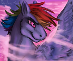 Size: 1000x839 | Tagged: safe, artist:practicalponies, rainbow dash, g4, female, solo