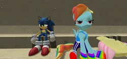 Size: 1280x600 | Tagged: safe, artist:legoguy9875, fluttershy, rainbow dash, g4, 3d, clothes, crossover, gmod, male, rainbow socks, socks, sonic the hedgehog, sonic the hedgehog (series), striped socks