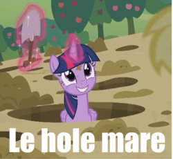 Size: 537x494 | Tagged: safe, screencap, twilight sparkle, alicorn, pony, castle sweet castle, g4, caption, cute, female, hole, image macro, le, mare, meme, smiling, sweet apple acres, twilight sparkle (alicorn)