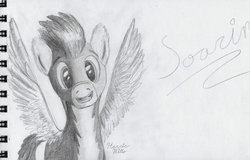 Size: 1280x820 | Tagged: safe, artist:harricmills, soarin', g4, male, monochrome, pencil drawing, solo, traditional art