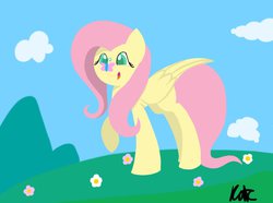 Size: 1024x763 | Tagged: safe, artist:duskanddashie, fluttershy, butterfly, g4, female, open mouth, raised hoof, smiling, solo