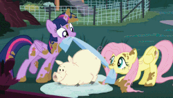 Size: 529x300 | Tagged: safe, screencap, fluttershy, twilight sparkle, alicorn, pegasus, pig, pony, castle sweet castle, g4, animated, cleaning, cute, female, loop, mare, mouth hold, mud, towel, towel flossing, twilight sparkle (alicorn), washing