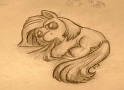 Size: 755x551 | Tagged: safe, artist:fluffsplosion, fluffy pony, blanket, sketch