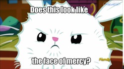 Size: 960x535 | Tagged: safe, screencap, angel bunny, castle sweet castle, g4, face of mercy, fluffy angel, image macro, meme