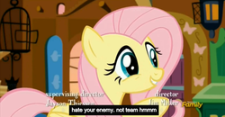 Size: 1600x830 | Tagged: safe, screencap, fluttershy, castle sweet castle, g4, my little pony: friendship is magic, advice, meme, out of character, youtube caption