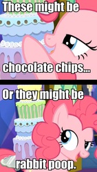 Size: 538x956 | Tagged: safe, edit, edited screencap, screencap, pinkie pie, earth pony, pony, castle sweet castle, g4, cake, caption, chocolate chips, discovery family logo, female, food, image macro, implied poop, mare, meme, seven-layer what's-that-flavour mystery surprise, solo, text