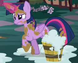 Size: 725x591 | Tagged: safe, screencap, twilight sparkle, alicorn, pony, castle sweet castle, g4, season 5, dirty, female, folded wings, mare, reaction image, solo, twilight sparkle (alicorn), wings