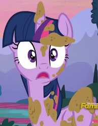 Size: 747x965 | Tagged: safe, screencap, twilight sparkle, alicorn, pony, castle sweet castle, g4, season 5, female, mare, reaction image, solo, twilight sparkle (alicorn)