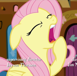 Size: 1087x1072 | Tagged: safe, screencap, fluttershy, castle sweet castle, g4, female, reaction image, solo