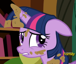 Size: 1157x975 | Tagged: safe, screencap, twilight sparkle, alicorn, pony, castle sweet castle, g4, bookshelf, female, reaction image, solo, twilight sparkle (alicorn)