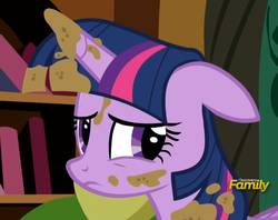 Size: 1211x957 | Tagged: safe, screencap, twilight sparkle, alicorn, pony, castle sweet castle, g4, bookshelf, female, reaction image, solo, twilight sparkle (alicorn)