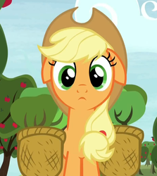 Size: 921x1031 | Tagged: safe, screencap, applejack, castle sweet castle, g4, female, reaction image, solo