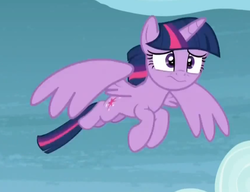 Size: 849x653 | Tagged: safe, screencap, twilight sparkle, alicorn, pony, castle sweet castle, g4, season 5, female, flying, mare, reaction image, solo, twilight sparkle (alicorn)