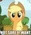 Size: 858x960 | Tagged: safe, screencap, applejack, castle sweet castle, g4, image macro, meme, not sure if want