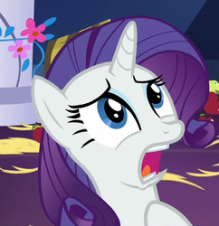 Size: 1041x1075 | Tagged: safe, screencap, rarity, castle sweet castle, g4, female, invisible stallion, reaction image, solo