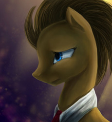 Size: 640x697 | Tagged: safe, artist:aschenstern, doctor whooves, time turner, g4, male, portrait, solo, speedpaint