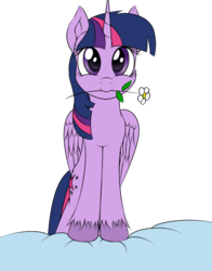 Size: 628x803 | Tagged: safe, artist:skorpionletun, twilight sparkle, alicorn, pony, g4, cute, female, flower, flower in mouth, looking at you, mare, mouth hold, simple background, smiling, solo, transparent background, twiabetes, twilight sparkle (alicorn), unshorn fetlocks