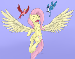 Size: 1024x800 | Tagged: safe, artist:bingodingo, fluttershy, bird, pegasus, pony, g4, female, flying, singing, solo