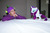 Size: 1280x853 | Tagged: safe, artist:ryuu-kun, rarity, spike, alicorn, human, castle sweet castle, g4, my little pony: friendship is magic, bedroom eyes, cosplay, female, irl, irl human, male, photo, plushie, race swap, raricorn, rarity plushie, ship:sparity, shipping, straight