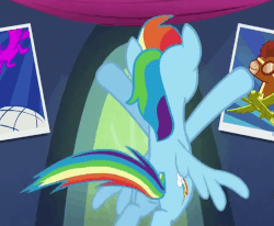 Size: 812x670 | Tagged: safe, screencap, rainbow dash, soarin', pegasus, pony, castle sweet castle, g4, season 5, animated, cute, dashabetes, eyes closed, female, flying, girly, grin, mare, poster, rainbowrina, smiling, solo, spinning, spread wings, twirl, wings, wonderbolts poster