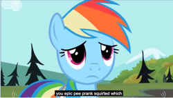 Size: 835x474 | Tagged: safe, screencap, rainbow dash, pegasus, pony, g4, may the best pet win, season 2, bandage, bandaged wing, blue coat, blue fur, blue pony, bust, female, frown, implied squirting, implied urine, magenta eyes, mare, meme, multicolored hair, multicolored mane, prank, rainbow hair, sad, solo, subtitles, wat, wings, you had one job, youtube, youtube caption, youtube video