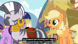 Size: 848x478 | Tagged: safe, screencap, applejack, twilight sparkle, zecora, zebra, g4, meme, youtube caption