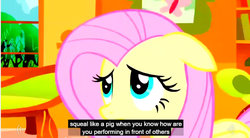 Size: 853x472 | Tagged: safe, edit, edited screencap, screencap, fluttershy, g4, caption, meme, out of context, youtube caption