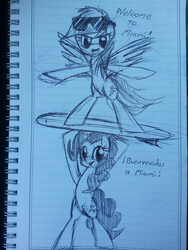 Size: 2448x3264 | Tagged: safe, artist:mindofnoodles, pinkie pie, rainbow dash, g4, high res, lined paper, monochrome, sketch, sunglasses, surfboard, traditional art