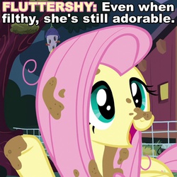 Size: 720x720 | Tagged: safe, screencap, fluttershy, castle sweet castle, g4, caption, cute, dirt, dirty, female, filthy, hot mess, image macro, mud, open mouth, raised hoof, smiling, solo