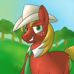 Size: 2000x2000 | Tagged: safe, artist:jorobro, big macintosh, earth pony, pony, g4, hat, high res, male, solo, stallion