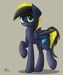 Size: 1000x1200 | Tagged: safe, artist:thunder chaser, oc, oc only, oc:thunderbolt, solo