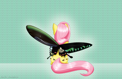 Size: 1275x825 | Tagged: safe, artist:rainbow-smashed, fluttershy, g4, butterfly wings, female, flutterfly, solo