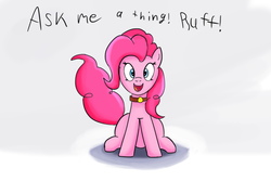 Size: 1280x853 | Tagged: safe, artist:ask-puppy-pie, artist:egstudios93, pinkie pie, g4, ask, behaving like a dog, female, puppy pie, solo, tumblr