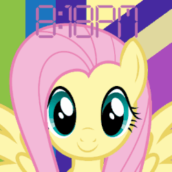 Size: 360x360 | Tagged: safe, fluttershy, g4, android wear, animated, female, looking at you, watchface, watchmaker