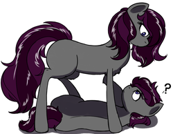 Size: 1000x775 | Tagged: safe, oc, oc only, earth pony, pony, female, looming over, male, mare, question mark, stallion