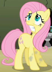 Size: 348x480 | Tagged: safe, screencap, fluttershy, the return of harmony, female, outfit catalog, solo, wingless