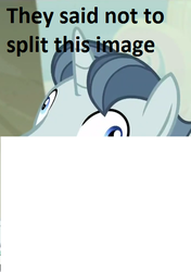 Size: 390x554 | Tagged: safe, party favor, g4, my little pony: friendship is magic, the cutie map, exploitable meme, i didn't listen, image macro, meme