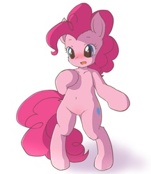 Size: 2000x2300 | Tagged: safe, artist:hidamariru, pinkie pie, pony, g4, belly button, bipedal, blushing, cute, diapinkes, featureless crotch, female, high res, open mouth, pixiv, simple background, solo, white background