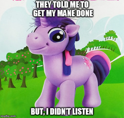 Size: 460x440 | Tagged: safe, twilight sparkle, g4, exploitable meme, i didn't listen, image macro, meme, possible spoilers