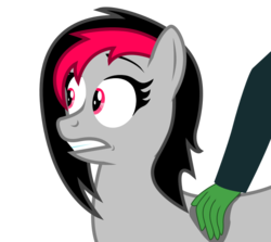 Size: 646x575 | Tagged: safe, artist:afterman, oc, oc only, oc:anon, oc:miss eri, black and red mane, freaked out, petting, shocked, two toned mane