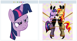 Size: 516x279 | Tagged: safe, sunset shimmer, twilight sparkle, derpibooru, g4, exploitable meme, juxtaposition, juxtaposition win, meme, meta