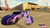 Size: 1280x720 | Tagged: safe, artist:equestianracer, twilight sparkle, pony, g4, car, dodge (car), dodge viper, dodge viper acr, female, forza horizon, itasha, solo