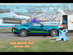 Size: 1920x1440 | Tagged: safe, artist:con360, rainbow dash, g4, car, female, ford, ford mustang, mustang, police car, solo