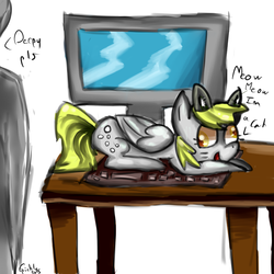 Size: 800x800 | Tagged: safe, artist:nyabird, derpy hooves, human, g4, behaving like a cat, cat ears, computer, keyboard, prone