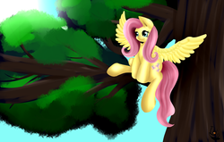 Size: 6250x3968 | Tagged: safe, artist:iblisart, fluttershy, g4, female, solo, tree