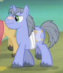 Size: 130x152 | Tagged: safe, screencap, silver scrollkeeper, pony, unicorn, g4, leap of faith, acaiberry, background pony, bandaid, bandaid on nose, injured, male, picture for breezies, solo focus, stallion, unshorn fetlocks