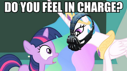 Size: 894x500 | Tagged: safe, edit, screencap, princess celestia, twilight sparkle, g4, bane, crossover, frown, image macro, meme, open mouth, the dark knight rises, wide eyes