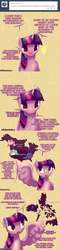 Size: 1280x5366 | Tagged: safe, artist:pshyzomancer, princess cadance, princess celestia, princess luna, twilight sparkle, alicorn, pony, g4, alicorn tetrarchy, comic, female, fillypines, mare, solo, tumblr, twilight sparkle (alicorn)