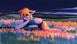 Size: 5000x2869 | Tagged: safe, artist:sharpieboss, rainbow dash, g4, female, field, grass, on side, solo